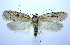  ( - jflandry0348)  @14 [ ] Copyright (2007) Unspecified Canadian National Collection