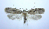  ( - jflandry0757)  @14 [ ] Copyright (2007) Unspecified Canadian National Collection