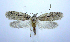  ( - jflandry0698)  @14 [ ] Copyright (2007) Unspecified Canadian National Collection