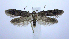  ( - jflandry0671)  @14 [ ] Copyright (2007) Unspecified Canadian National Collection