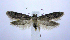 ( - jflandry0524)  @14 [ ] Copyright (2007) Unspecified Canadian National Collection