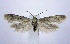  ( - jflandry0783)  @14 [ ] Copyright (2007) Unspecified Canadian National Collection