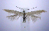  ( - jflandry0509)  @14 [ ] Copyright (2007) Unspecified Canadian National Collection