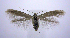  ( - jflandry0667)  @14 [ ] Copyright (2007) Unspecified Canadian National Collection