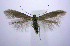 ( - jflandry0452)  @14 [ ] Copyright (2007) Unspecified Canadian National Collection