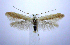  ( - jflandry0865)  @13 [ ] Copyright (2007) Unspecified Canadian National Collection