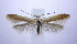  ( - jflandry0682)  @13 [ ] Copyright (2007) Unspecified Canadian National Collection