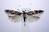  ( - jflandry0510)  @14 [ ] CreativeCommons - Attribution (2010) Unspecified Centre for Biodiversity Genomics