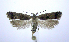  ( - jflandry0861)  @14 [ ] CreativeCommons - Attribution (2010) Unspecified Centre for Biodiversity Genomics