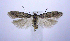  ( - jflandry0685)  @13 [ ] CreativeCommons - Attribution (2010) Unspecified Centre for Biodiversity Genomics