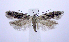  ( - jflandry0680)  @13 [ ] Copyright (2007) Unspecified Canadian National Collection