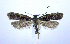  ( - jflandry0794)  @12 [ ] CreativeCommons - Attribution (2010) Unspecified Centre for Biodiversity Genomics