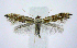  ( - jflandry0875)  @14 [ ] Copyright (2007) Unspecified Canadian National Collection