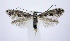  ( - jflandry0501)  @14 [ ] Copyright (2007) Unspecified Canadian National Collection