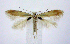  ( - jflandry0904)  @14 [ ] Copyright (2007) Unspecified Canadian National Collection