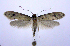  ( - jflandry0796)  @14 [ ] CreativeCommons - Attribution (2010) Unspecified Centre for Biodiversity Genomics