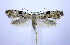  ( - jflandry0847)  @14 [ ] Copyright (2007) Unspecified Canadian National Collection
