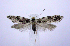  ( - jflandry0778)  @13 [ ] Copyright (2007) Unspecified Canadian National Collection