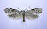  ( - jflandry0358)  @13 [ ] Copyright (2007) Unspecified Canadian National Collection