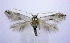  ( - jflandry0873)  @13 [ ] Copyright (2007) Unspecified Canadian National Collection