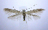  ( - jflandry0508)  @14 [ ] Copyright (2007) Unspecified Canadian National Collection