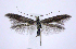  ( - jflandry0507)  @14 [ ] Copyright (2007) Unspecified Canadian National Collection