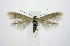  ( - jflandry0485)  @14 [ ] Copyright (2007) Unspecified Canadian National Collection