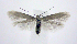  ( - jflandry0448)  @14 [ ] Copyright (2007) Unspecified Canadian National Collection