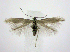  ( - jflandry0449)  @14 [ ] Copyright (2007) Unspecified Canadian National Collection