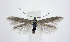  ( - jflandry0450)  @14 [ ] Copyright (2007) Unspecified Canadian National Collection