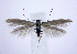  ( - jflandry0451)  @14 [ ] Copyright (2007) Unspecified Canadian National Collection