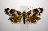  ( - jflandry0662)  @14 [ ] Copyright (2007) Unspecified Canadian National Collection