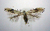  ( - jflandry0666)  @13 [ ] Copyright (2007) Unspecified Canadian National Collection