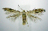  ( - jflandry0892)  @14 [ ] Copyright (2007) Unspecified Canadian National Collection