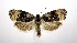  ( - jflandry0331)  @14 [ ] Copyright (2007) Unspecified Canadian National Collection