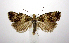  ( - jflandry0570)  @13 [ ] CreativeCommons - Attribution (2010) Unspecified Centre for Biodiversity Genomics