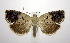  ( - jflandry0411)  @14 [ ] CreativeCommons - Attribution (2010) Unspecified Centre for Biodiversity Genomics