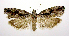  ( - jflandry0442)  @14 [ ] Copyright (2007) Unspecified Canadian National Collection