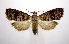  ( - jflandry0599)  @14 [ ] Copyright (2007) Unspecified Canadian National Collection