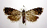  ( - jflandry0661)  @14 [ ] Copyright (2007) Unspecified Canadian National Collection