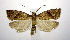  ( - jflandry0755)  @14 [ ] Copyright (2007) Unspecified Canadian National Collection