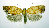  ( - jflandry0801)  @14 [ ] Copyright (2007) Unspecified Canadian National Collection