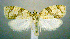  ( - jflandry0605)  @14 [ ] Copyright (2007) Unspecified Canadian National Collection