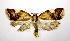  ( - jflandry0556)  @14 [ ] Copyright (2007) Unspecified Canadian National Collection