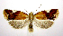  ( - jflandry0696)  @14 [ ] Copyright (2007) Unspecified Canadian National Collection