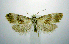  ( - jflandry0739)  @14 [ ] Copyright (2007) Unspecified Canadian National Collection