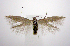  ( - jflandry0420)  @14 [ ] Copyright (2007) Unspecified Canadian National Collection