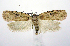  ( - jflandry0347)  @14 [ ] Copyright (2007) Unspecified Canadian National Collection