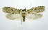  ( - jflandry0695)  @14 [ ] Copyright (2007) Unspecified Canadian National Collection