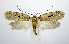  ( - jflandry0694)  @14 [ ] Copyright (2007) Unspecified Canadian National Collection